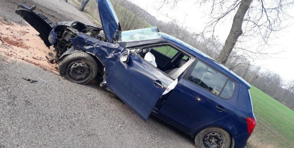 Skoda uderzyła w drzewo