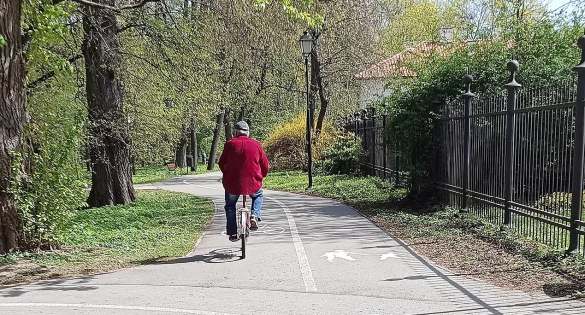 Czy w siedleckim parku zostanie wprowadzony zakaz poruszania się jednośladami?