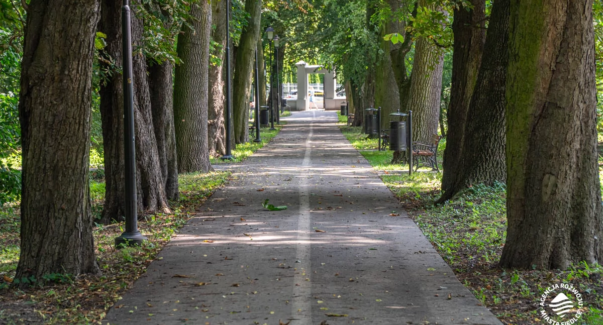Siedlce: Apel do użytkowników rowerów i hulajnóg
