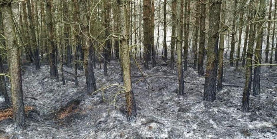 Akcja gaśnicza na szeroką skalę