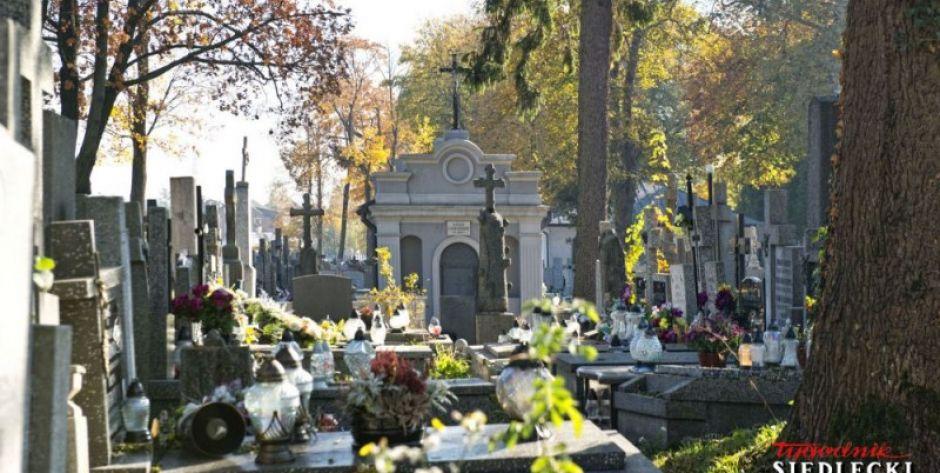 W czasie epidemii postanowili wybrać się na cmentarz... 