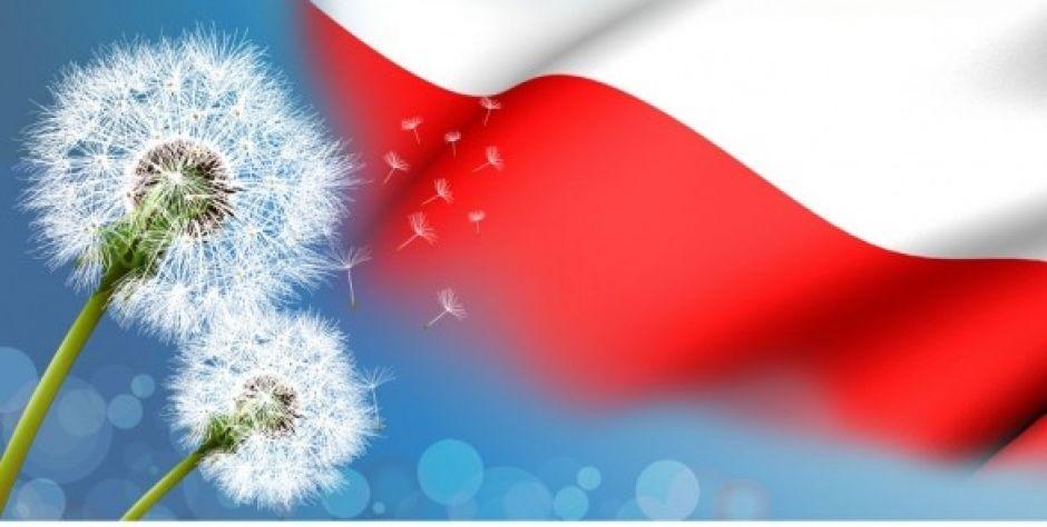 Majówka online z CKiS