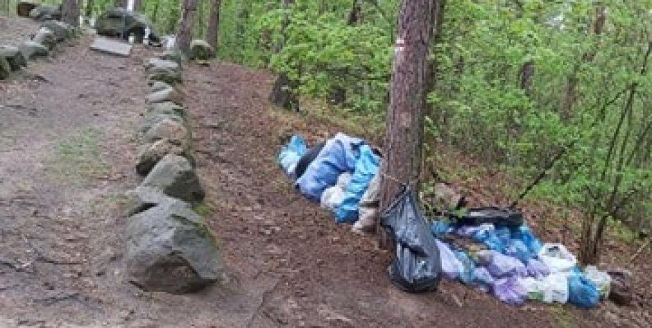Ktoś wyrzucił śmieci przy leśnym krzyżu