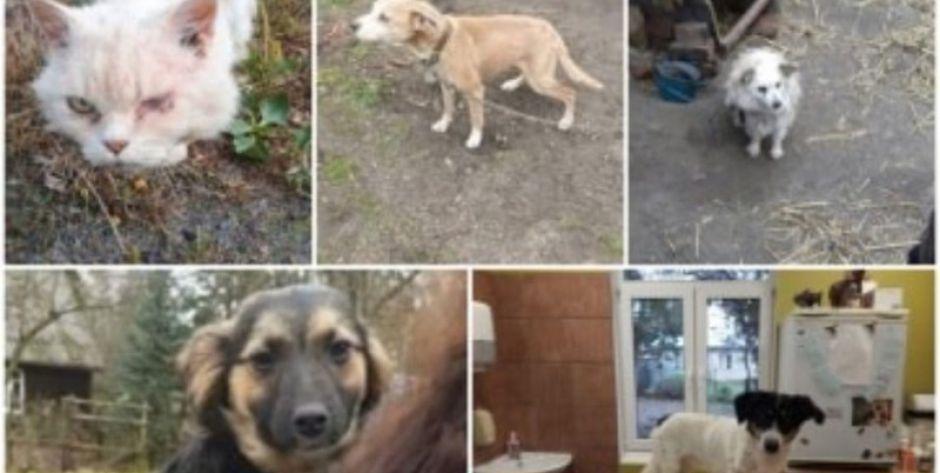 „Toniemy, to najgorsza sytuacja od początku istnienia oddziału” - TOZ Węgrów prosi o pomoc!