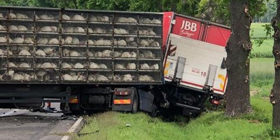 Zderzenie dwóch ciężarówek na DK63 - Trasa zablokowana!