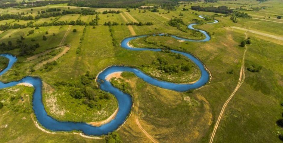 Śnięte ryby w Liwcu - Przyczyna naturalna 