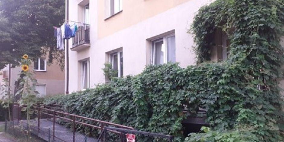 Najbardziej zielony podjazd dla niepełnosprawnych