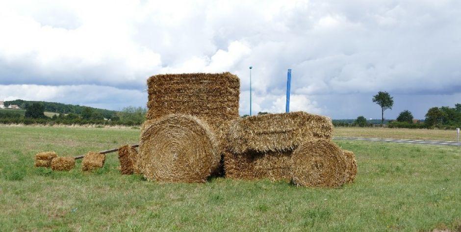 AGROLIGA 2020– etap wojewódzki