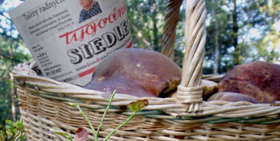 „TS” na długie, jesienne wieczory!