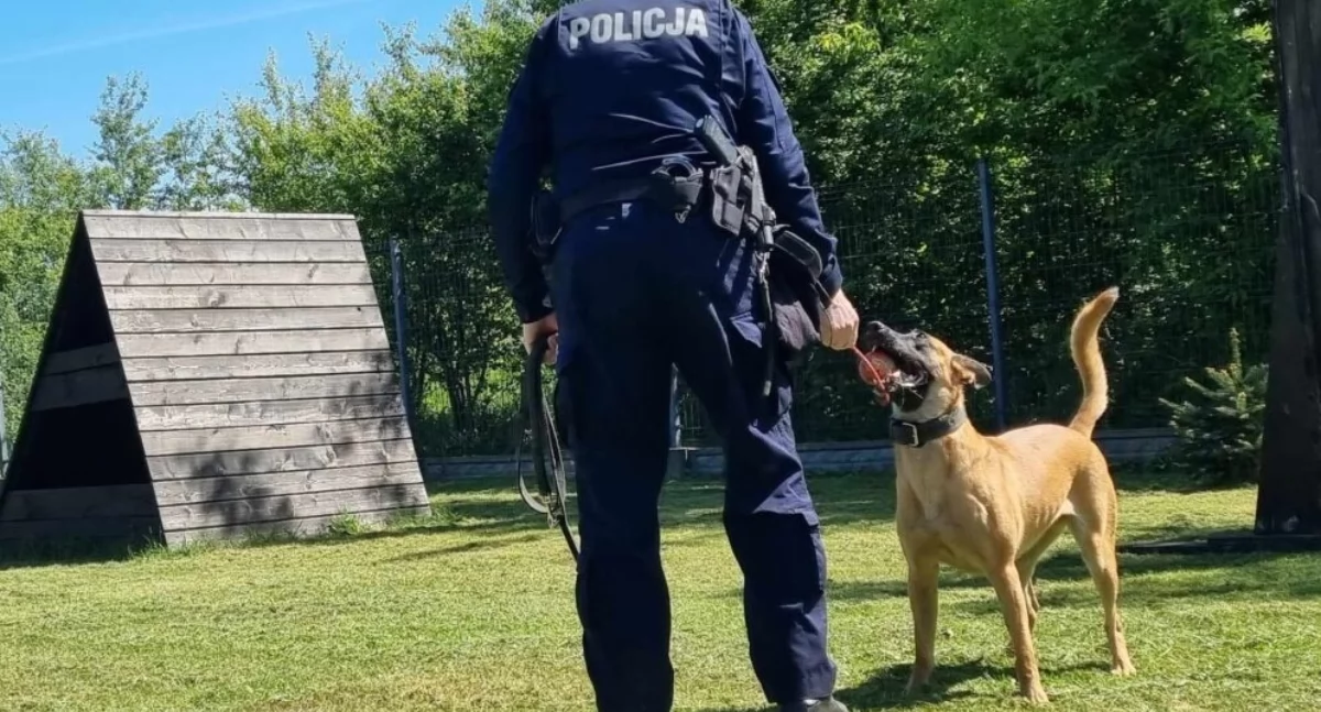Siedlce: Szczęśliwy finał poszukiwań zaginionego 35-latka. Policja zapobiegła tragedii