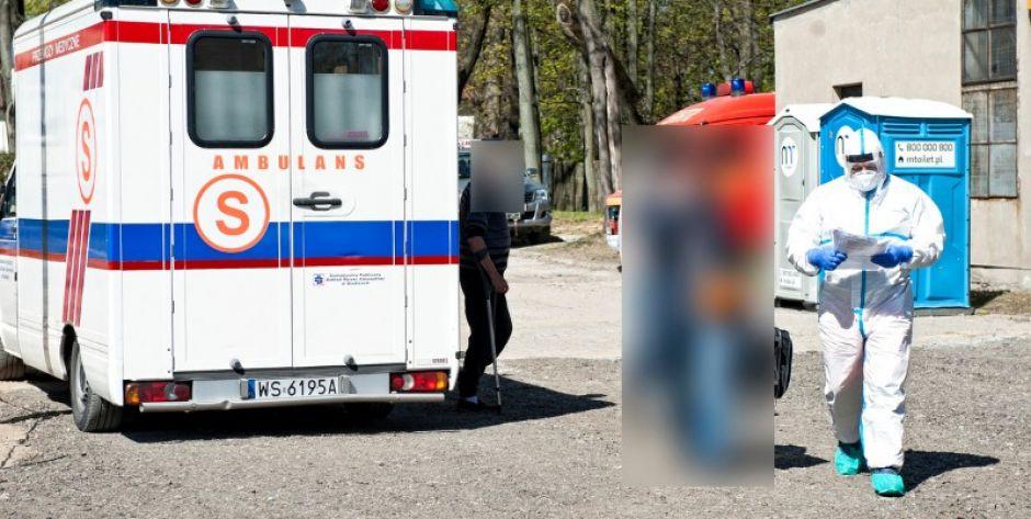 Głupota? Złośliwość Strach?