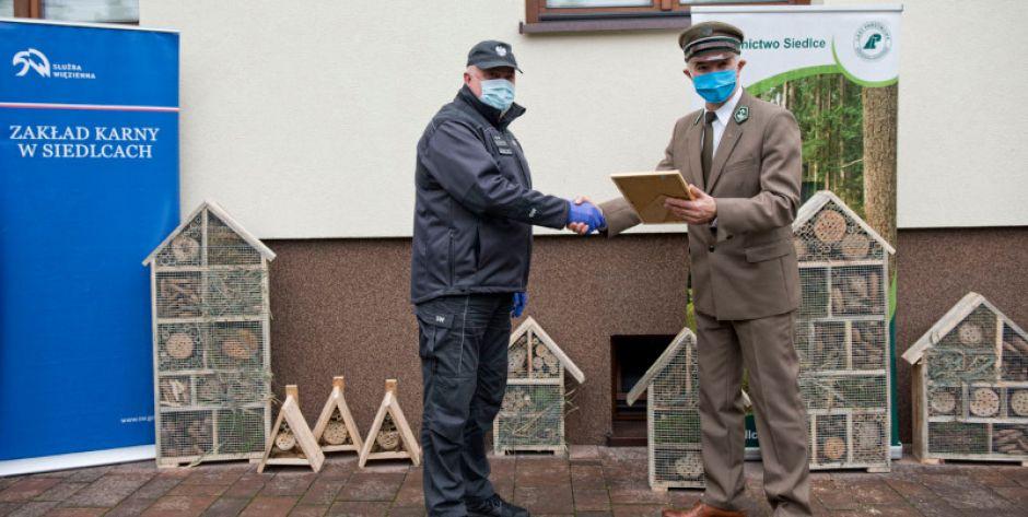 Hotele dla owadów