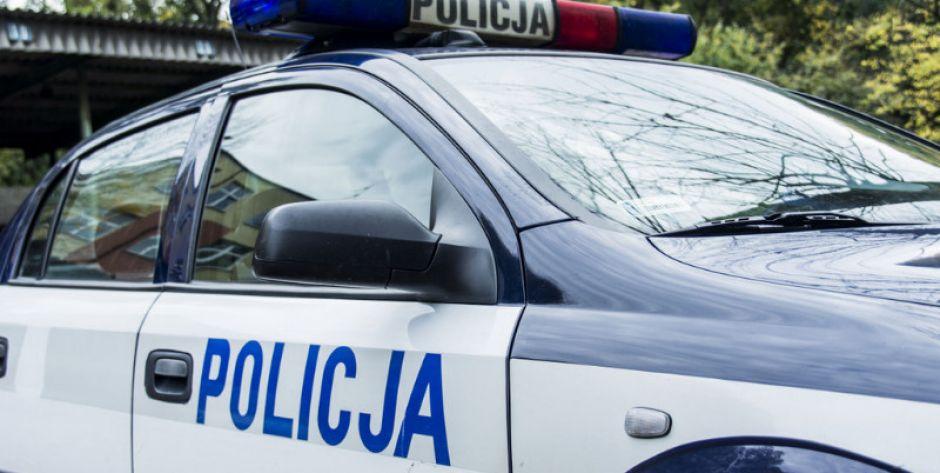 Policjanci punktowali pieszych