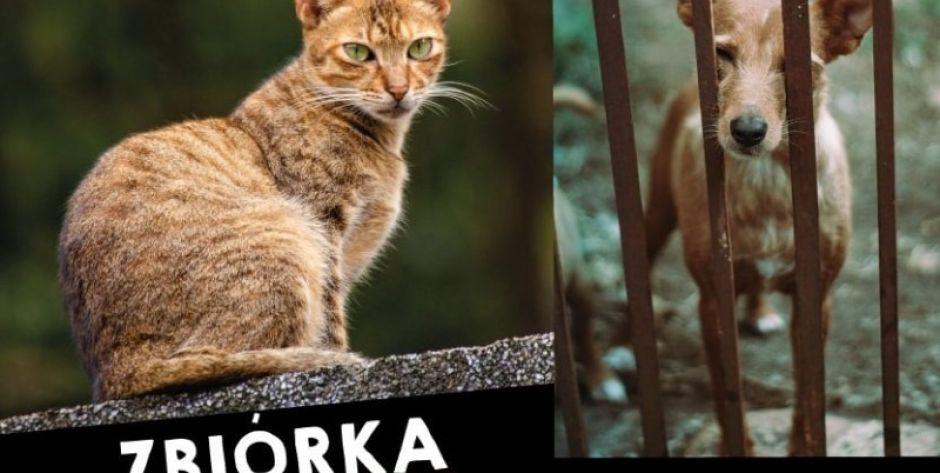 Jeśli możecie, to pomóżcie