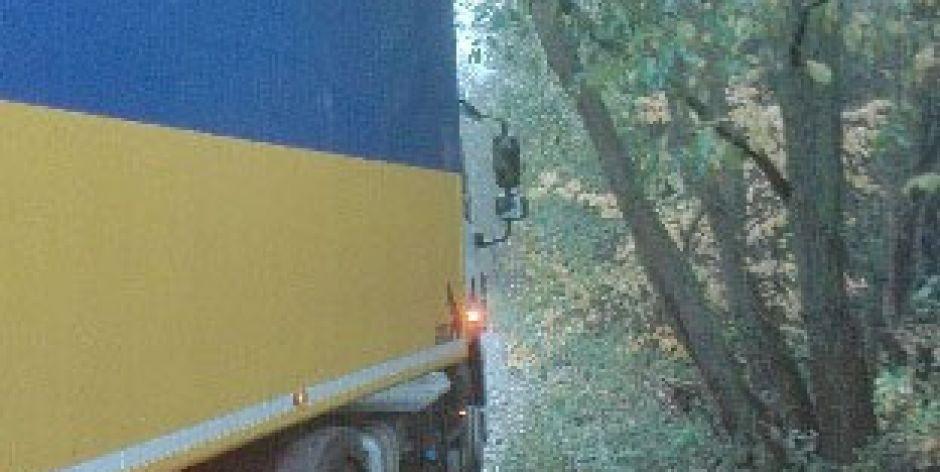 Pułapka na drodze