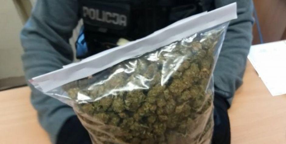 Marihuana i haszysz