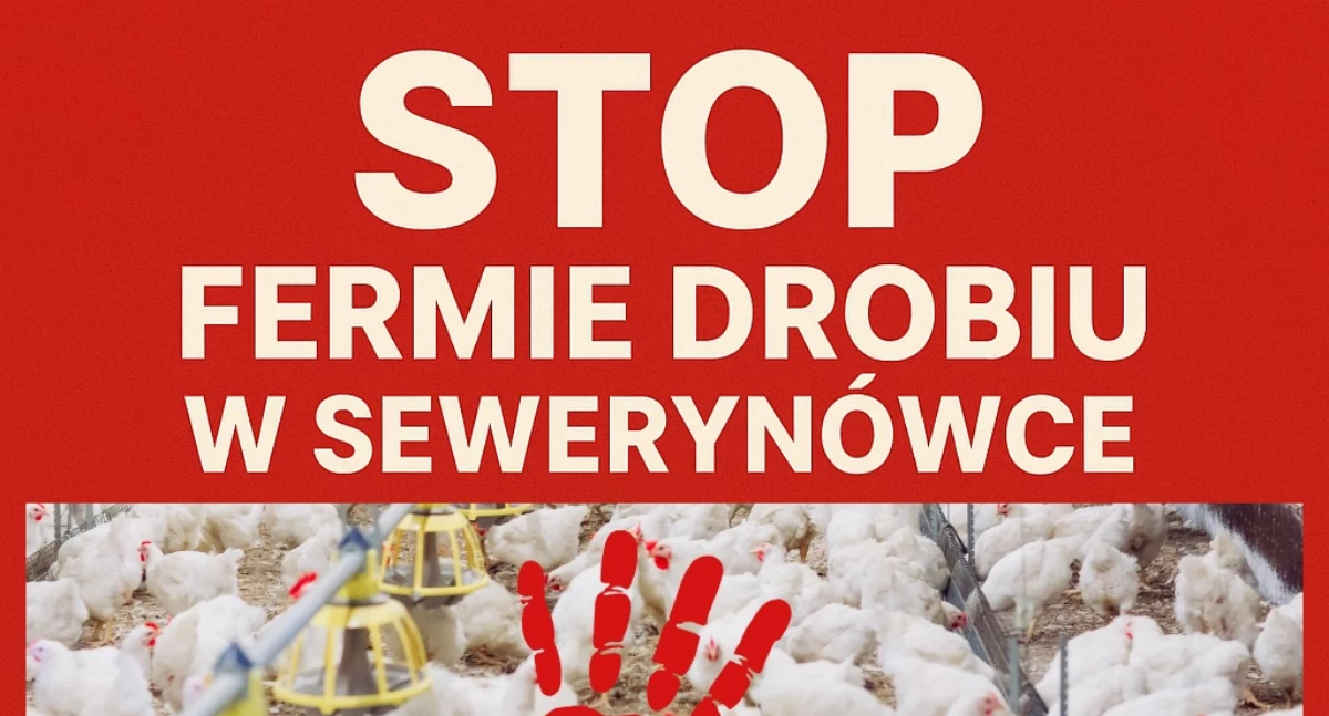 Farma drobiu budzi sprzeciw mieszkańców. Konsultacje społeczne już 2 czerwca w Sterdyni