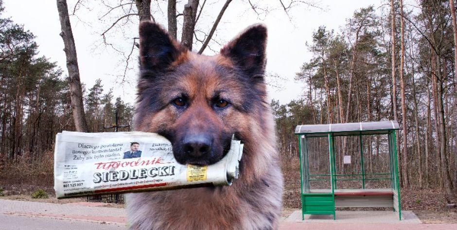 Tygodnik z kalendarzem! 