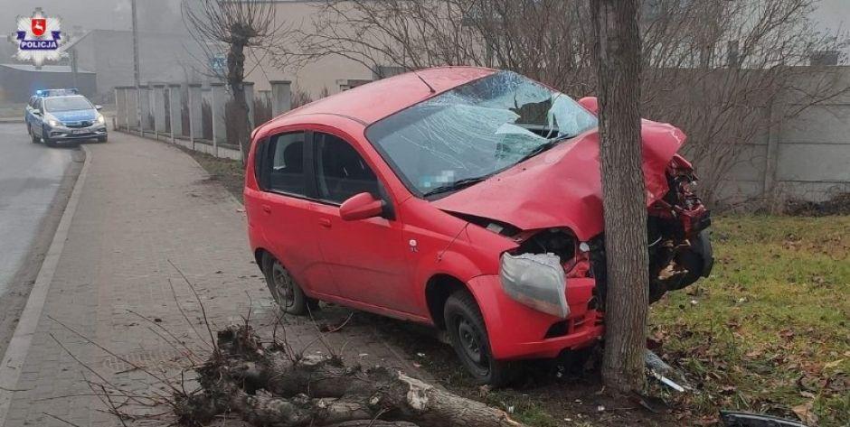 Z promilami na drzewie