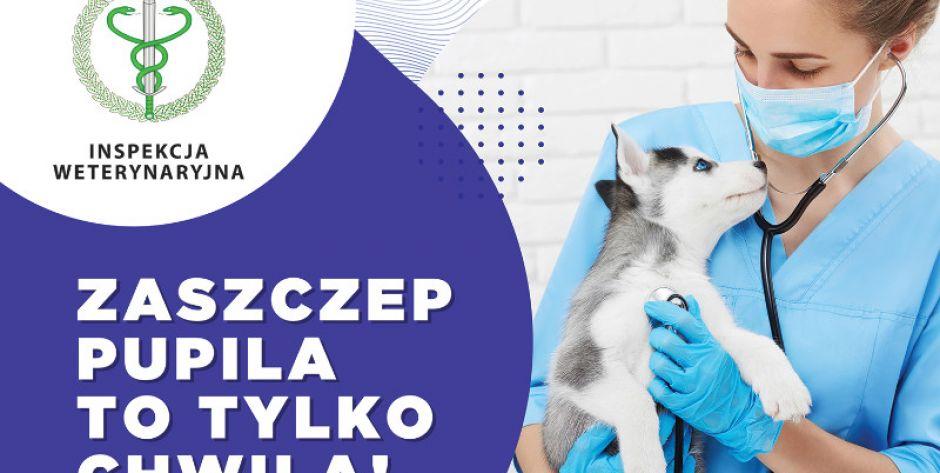 Zaszczep pupila przeciwko wściekliźnie 