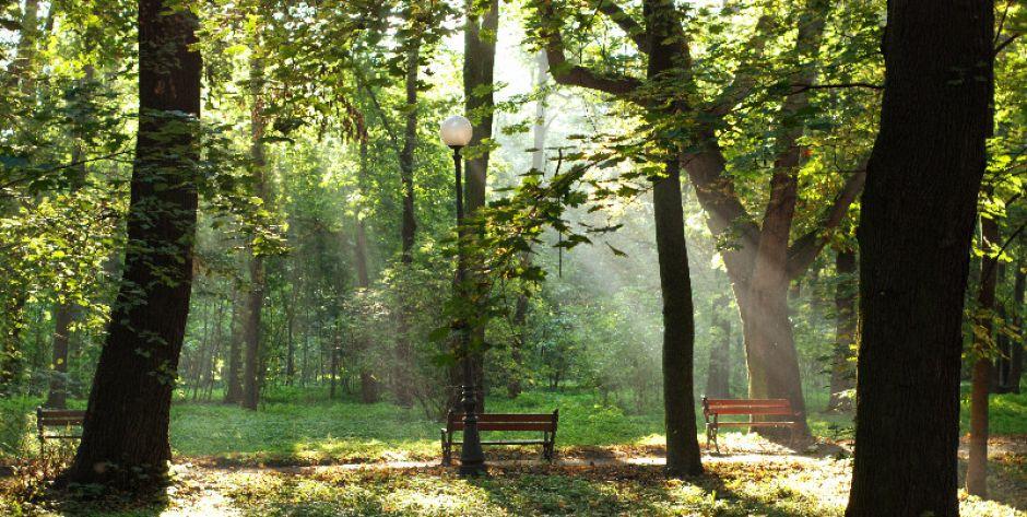 Siedlce dostały 8,5 mln zł na Park Miejski 