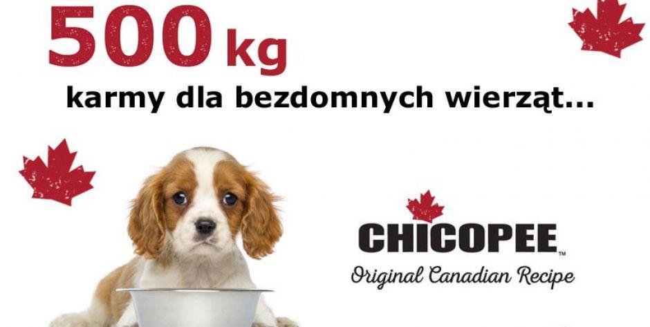 Pomóż wygrać karmę dla „Zwierzolubów z Siedlec”