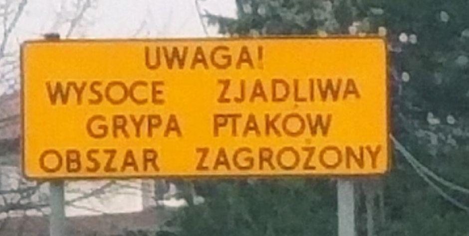 Dobra wiadomość dla hodowców drobiu