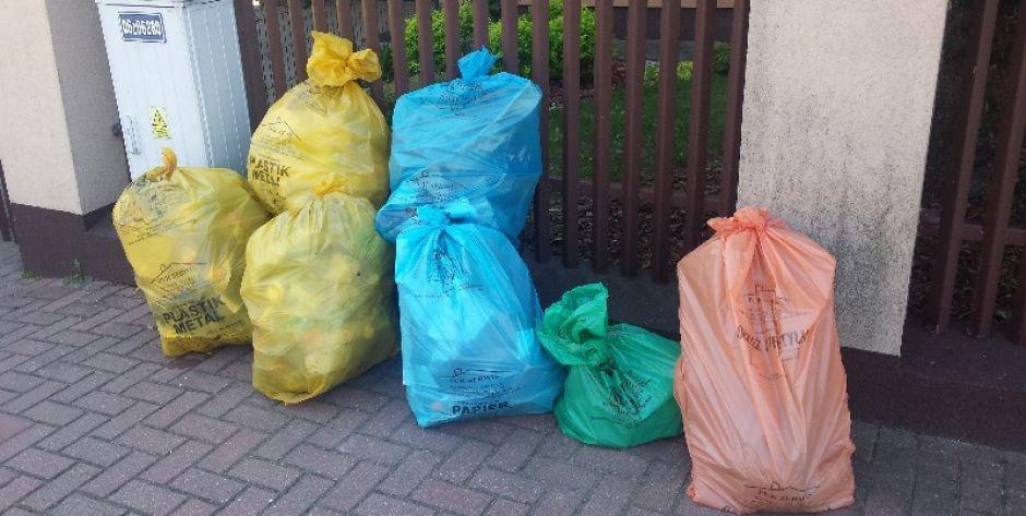 Wycięto małych graczy, pozostawiając hegemonów