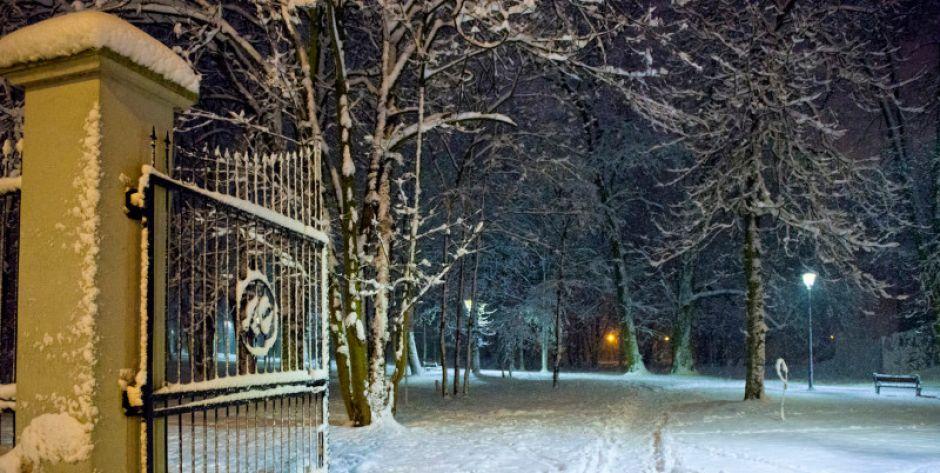 Siedlce na zimowo
