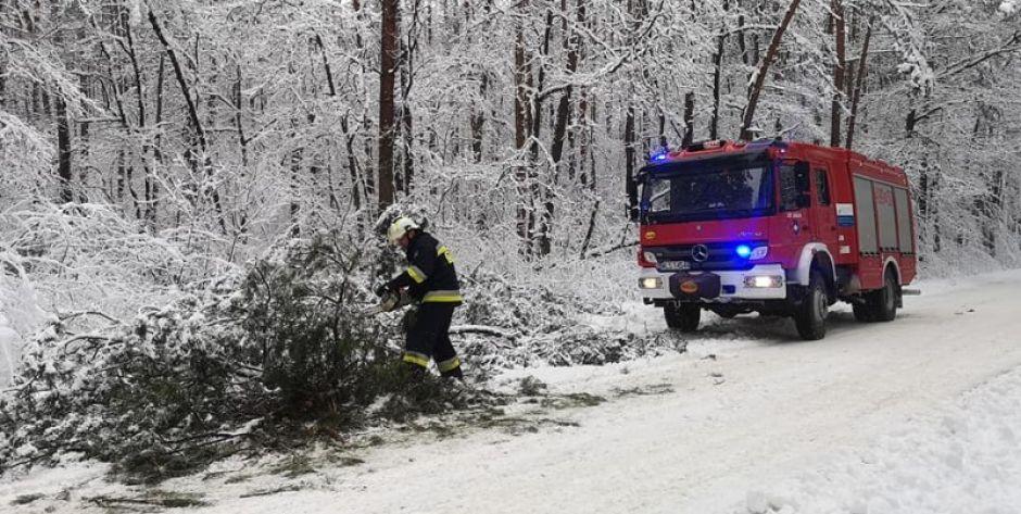 Strażacy usuwają połamane drzewa