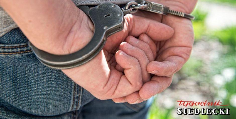 Czworo pijanych kierowców  - Dwóch nie zatrzymało się do kontroli drogowej