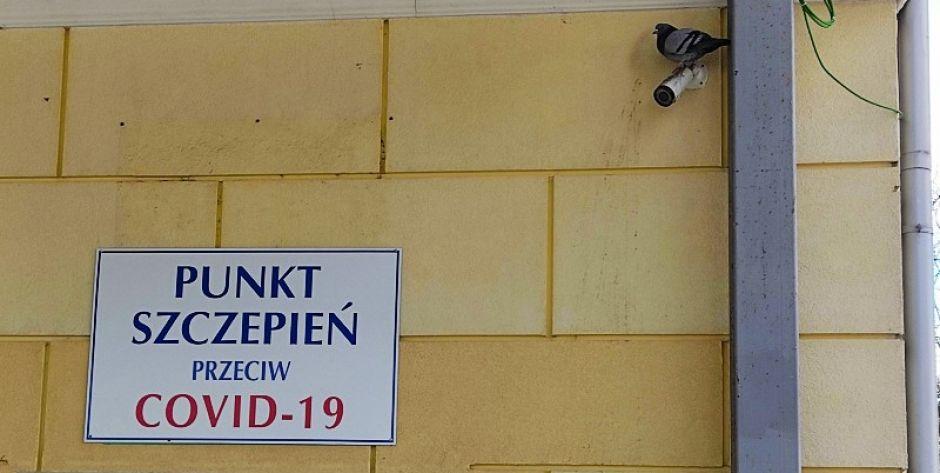 Szczepi się głównie Warszawa