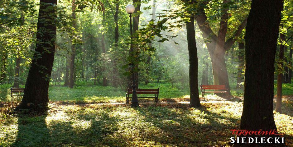 Siedlce mają 8,4 mln na park!