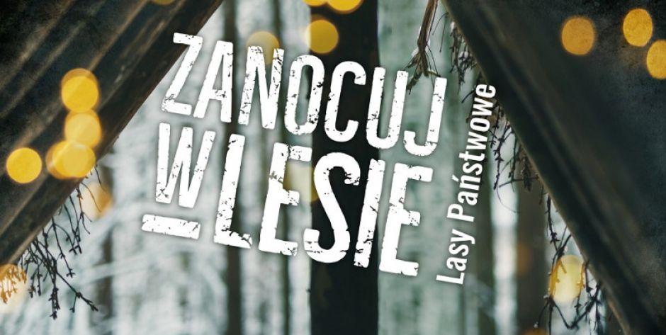 Zanocuj w lesie