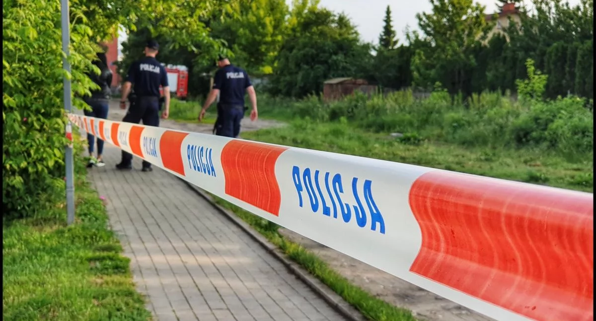 Niewybuch na ul. Sulimów: Kobieta myślała, że to meteoryt 