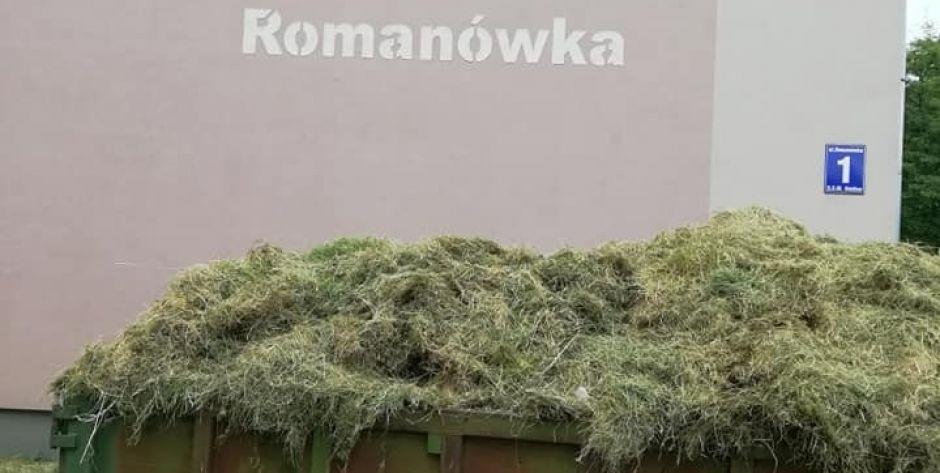 Śmierdzi kiszonką na Romanówce
