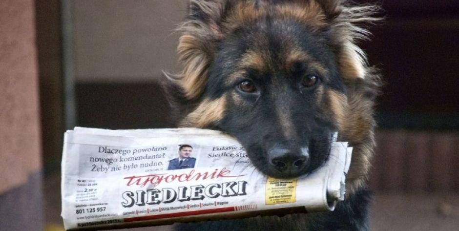 Z „TS” wiesz więcej. Sprawdź, o czym piszemy!