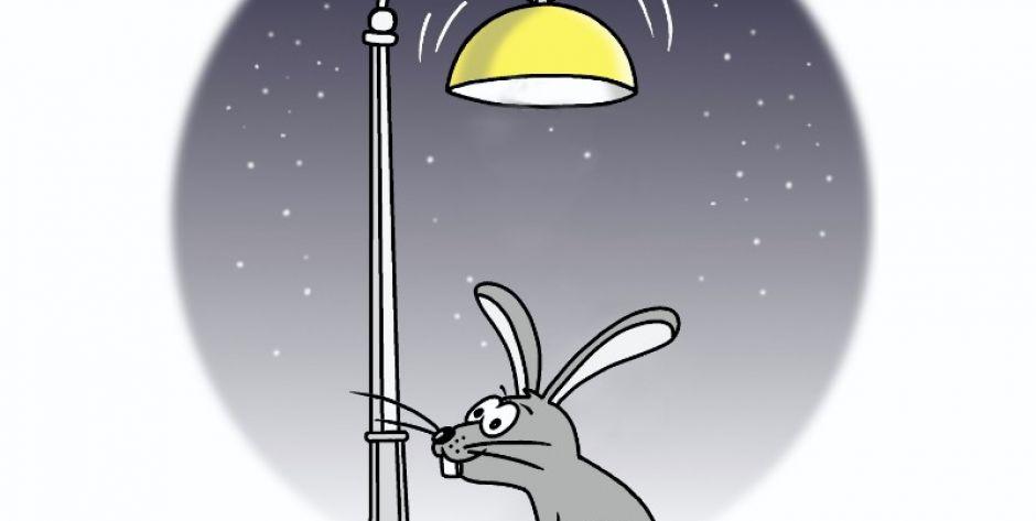 A lampy zającom świecą...