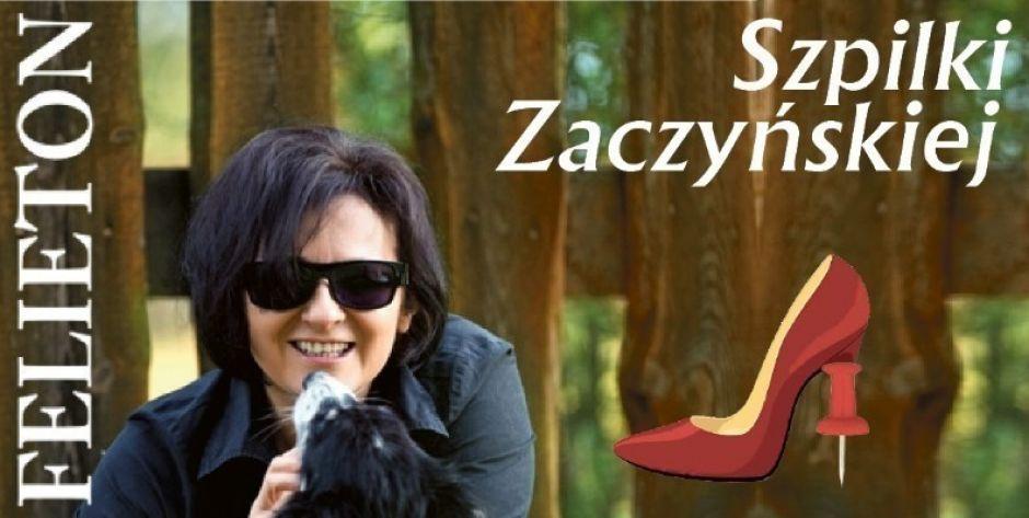Pisowska moralność, czyli tłuste koty gonią myszkę - przeczytaj najnowszy felieton Marioli Zaczyńskiej!
