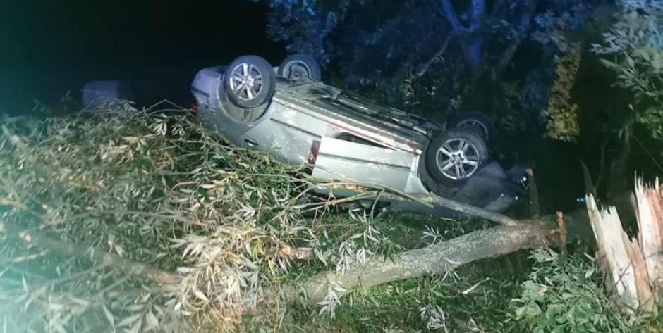 Uderzył w drzewo i dachował