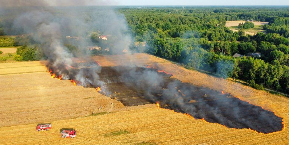 Pożar zboża