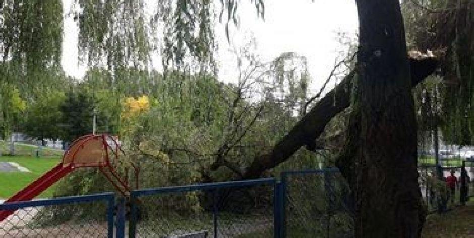 Olbrzymi konar spadł na plac zabaw/Dzieci cudem uciekły!
