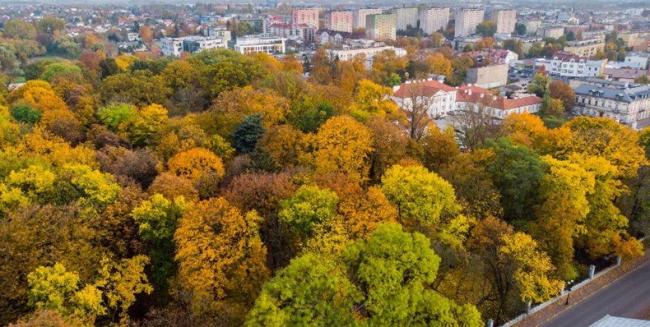 Cztery oferty na modernizację siedleckiego parku 