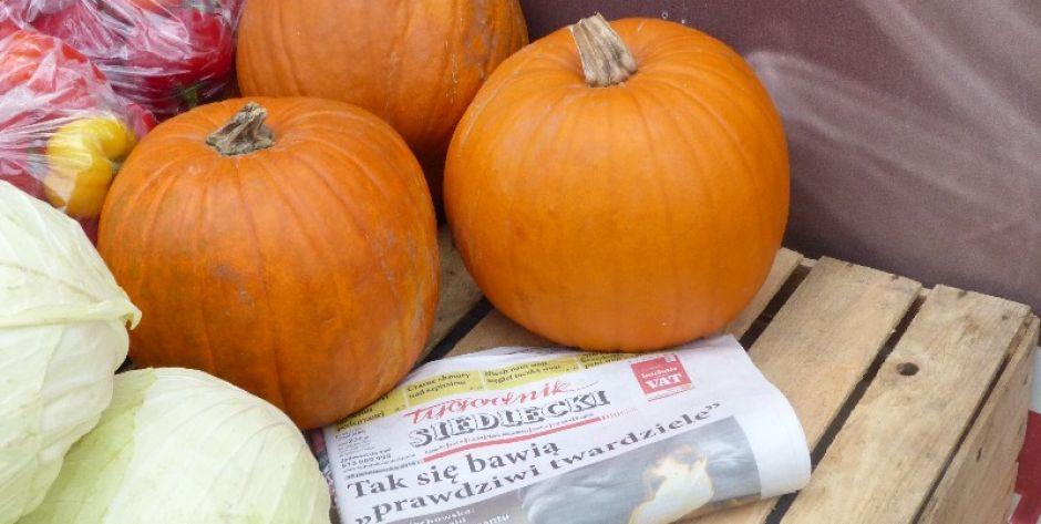 Powstali po to, żeby hejtować prezydenta Sitnika - przeczytaj najnowszy numer Tygodnika!