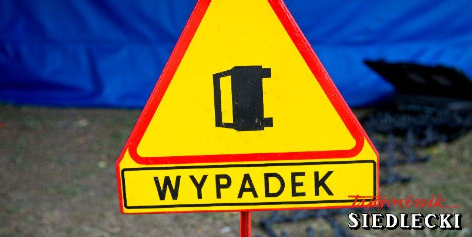 Śmiertelne potrącenie pieszego