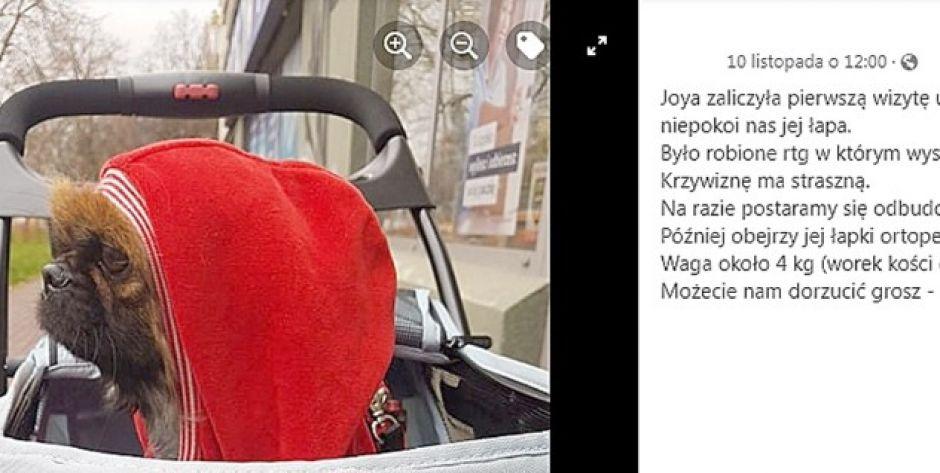 „Interwencja” wieczorową porą