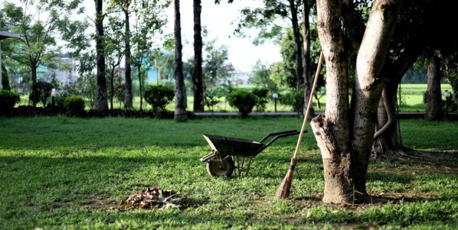 Jak zadbać o ogród — niezbędne akcesoria