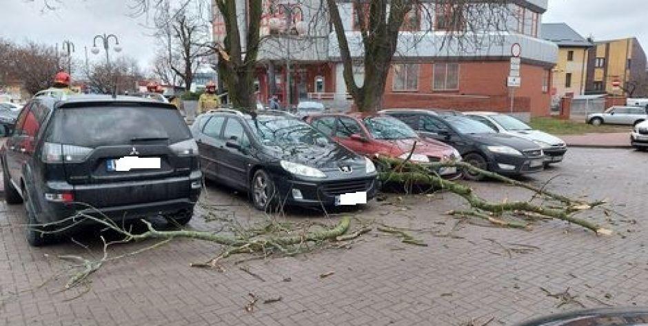 Na ul. Katedralnej spadające konary uszkodziły dwa samochody 