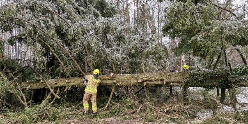 Powalone drzewa, zerwane linie energetyczne - kolejne interwencje strażaków