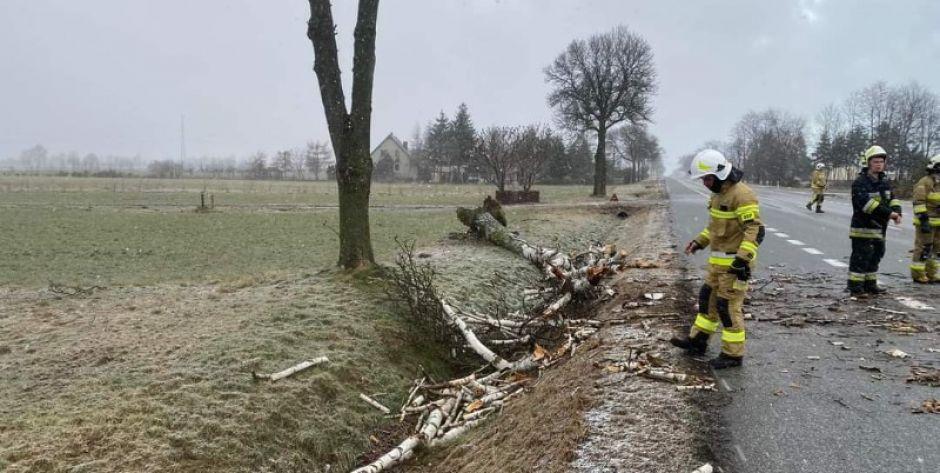 Pracowita noc strażaków